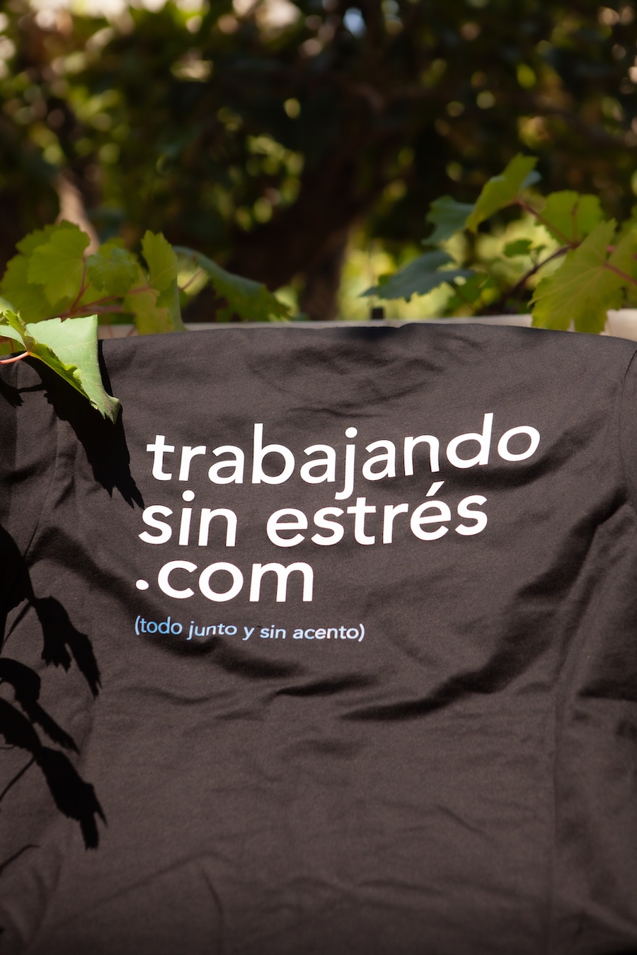 trabajando_sinestres2
